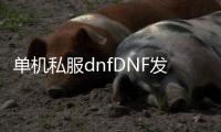 单机私服dnfDNF发布网与勇士（dnf单机版服务端）