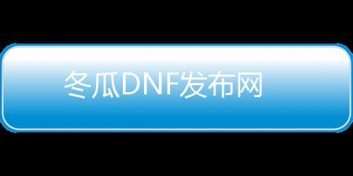 冬瓜DNF发布网