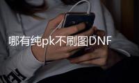 哪有纯pk不刷图DNF发布网（dnf只玩pk）