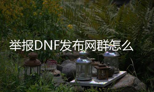 举报DNF发布网群怎么举报（dnf举报自己）