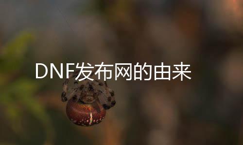 DNF发布网的由来