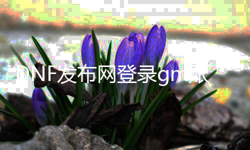 DNF发布网登录gm账号