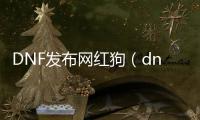 DNF发布网红狗（dnf红狗是什么意思）