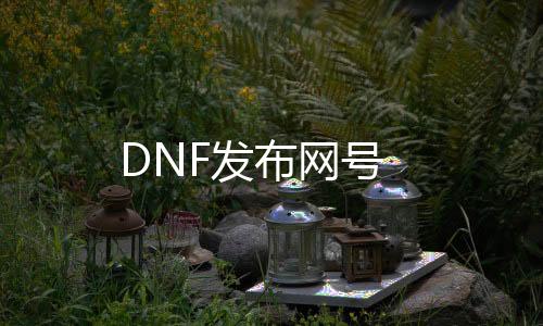 DNF发布网号