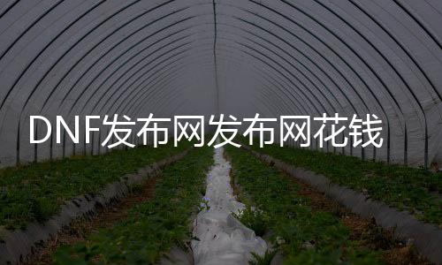 DNF发布网发布网花钱不