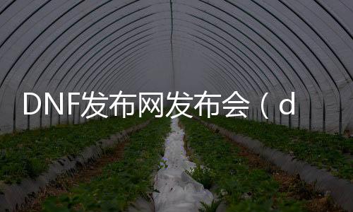 DNF发布网发布会（dnfsf发布网今日新开）