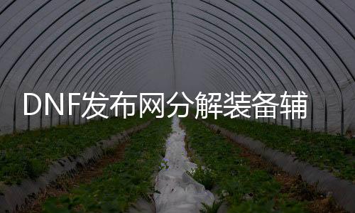 DNF发布网分解装备辅助工具（DNF发布网分解装备找谁）