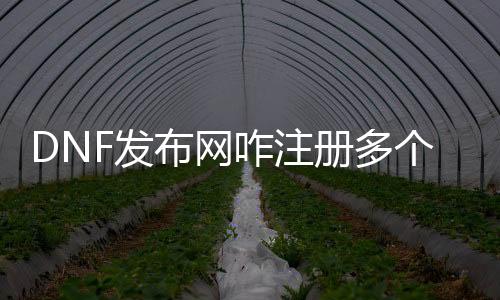 DNF发布网咋注册多个账号（DNF发布网与勇士怎么多开号）