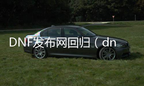 DNF发布网回归（dnf回归是什么意思）