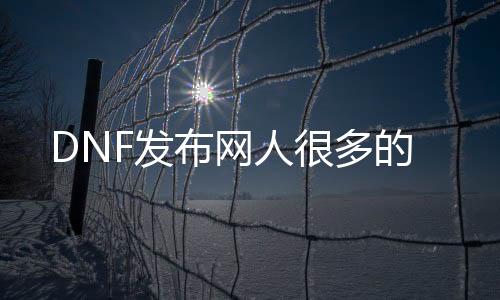 DNF发布网人很多的