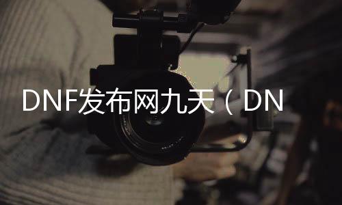 DNF发布网九天（DNF发布网天9多少钱一套）