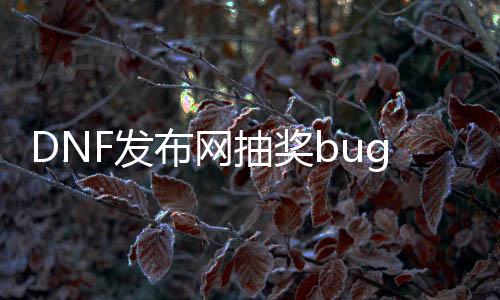 DNF发布网抽奖bug（dnf抽奖盒子叫什么名字）