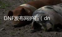 DNF发布网护石（dnf护石玩法）