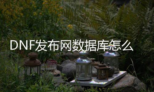 DNF发布网数据库怎么连接（dnf 数据库）