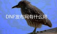 DNF发布网有什么用