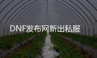 DNF发布网新出私服