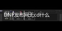 DNF发布网无cd什么职业最好（dnf100无cd）