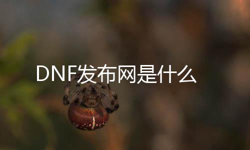 DNF发布网是什么