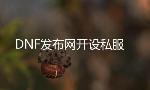 DNF发布网开设私服