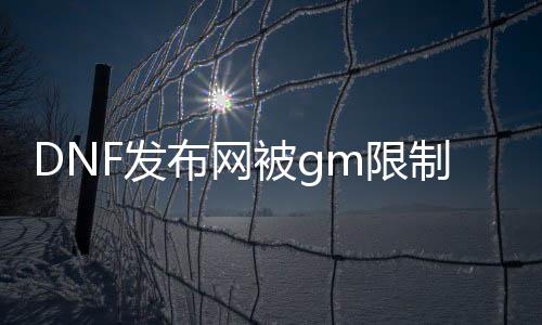 DNF发布网被gm限制登陆