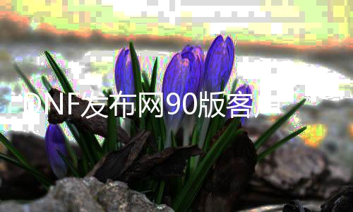 DNF发布网90版客户端