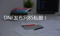 DNF发布网85私服（DNF发布网85版本手游下载破解版）