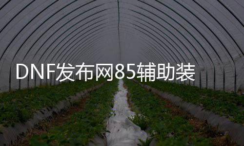 DNF发布网85辅助装备代码（DNF发布网188辅助）