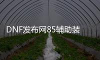 DNF发布网85辅助装备代码（DNF发布网188辅助）