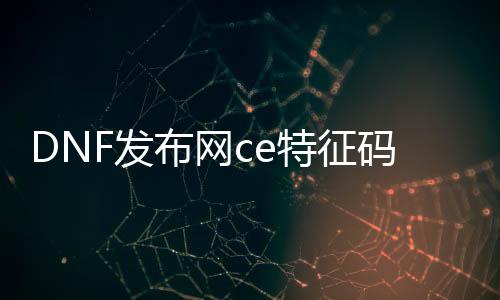 DNF发布网ce特征码（DNF发布网技能特征码）