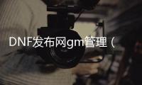 DNF发布网gm管理（DNF发布网与勇士gm工具）