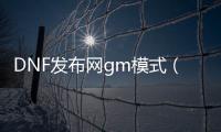 DNF发布网gm模式（DNF发布网与勇士gm版）