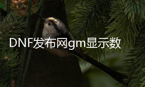 DNF发布网gm显示数据库