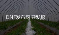 DNF发布网 建私服