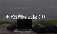 DNF发布网 武极（DNF发布网2021武极）