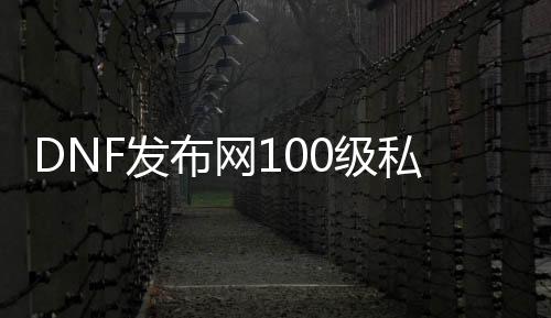 DNF发布网100级私服排行