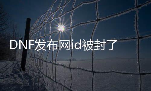 DNF发布网id被封了怎么办（DNF发布网号被盗了封号怎么办）