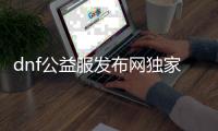 dnf公益服发布网独家定制（dnf100公益服发布网）