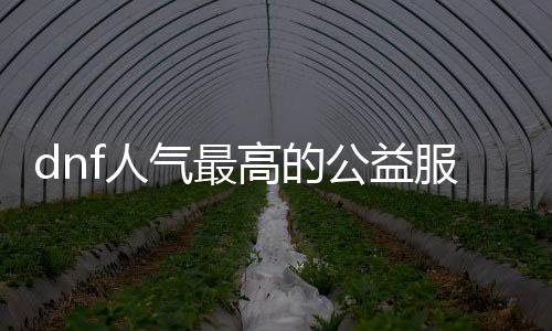 dnf人气最高的公益服发布网最新（2021年最受欢迎的dnf公益服发布网推荐）