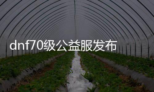 dnf70级公益服发布网（dnf公益服发布网100级版本）