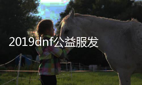 2019dnf公益服发布网手机版（地下城公益服发布网）