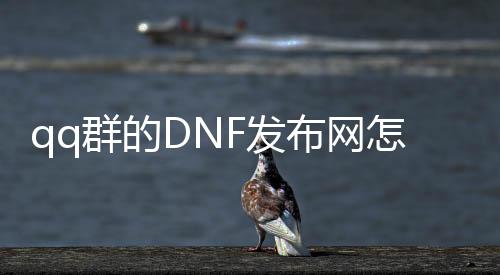 qq群的DNF发布网怎么代理（dnf游戏交流qq群2021）